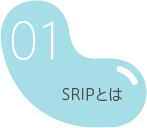 SRIPとは