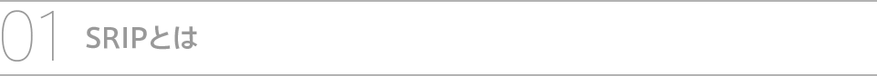 SRIPとは