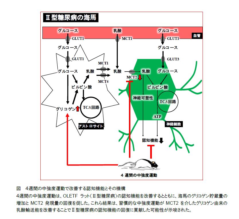 figure4